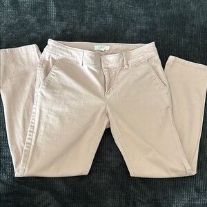 LOFT Pink Pants